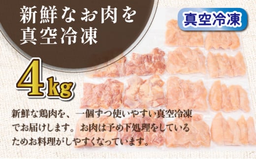 闍・鮓4kg繝薙ャ繧ー繧サ繝繝_K040-013