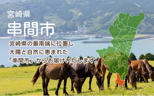 闍・鮓4kg繝薙ャ繧ー繧サ繝繝_K040-013