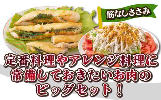 闍・鮓4kg繝薙ャ繧ー繧サ繝繝_K040-013