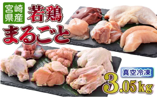 TRT06 若鶏まるごと3.05ｋgセット