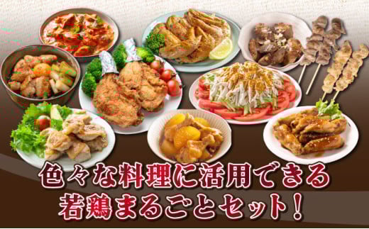 若鶏まるごと3.05ｋgセット_K040-011