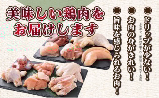 若鶏まるごと3.05ｋgセット_K040-011