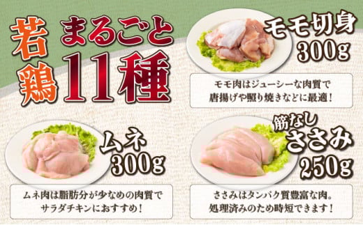 若鶏まるごと3.05ｋgセット_K040-011