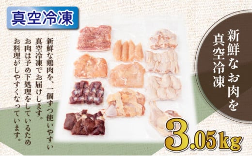 若鶏まるごと3.05ｋgセット_K040-011