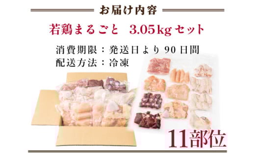 若鶏まるごと3.05ｋgセット_K040-011