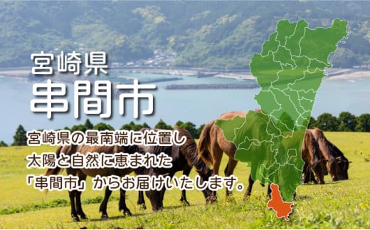 ＜小分け・カット済み＞鶏肉モモ切身3?セット_K040-007