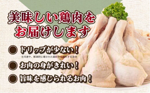 TRT05 鶏肉骨付モモ10本セット（約2.6kg以上）