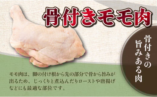 TRT05 鶏肉骨付モモ10本セット（約2.6kg以上）