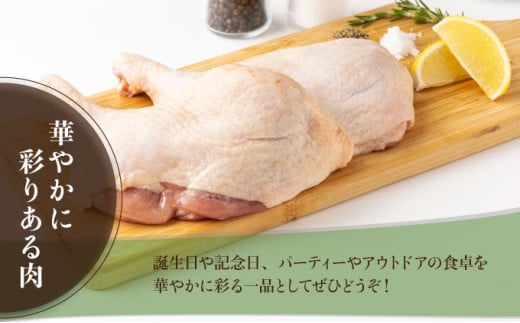 TRT05 鶏肉骨付モモ10本セット（約2.6kg以上）