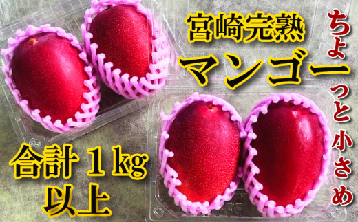 【やました農園】＜先行予約＞小さいマンゴーでも味と糖度は贈答用と同じ！M/Lサイズ4玉（1,000g～1,200g）| ご家庭用 ちょっと小さめ宮崎完熟マンゴー YMPML4