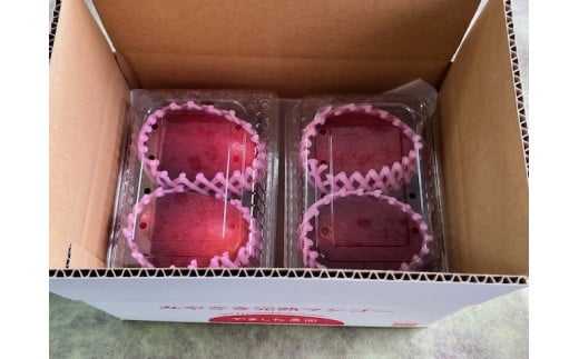 【やました農園】＜先行予約＞小さいマンゴーでも味と糖度は贈答用と同じ！M/Lサイズ4玉（1,000g～1,200g）| ご家庭用 ちょっと小さめ宮崎完熟マンゴー YMPML4