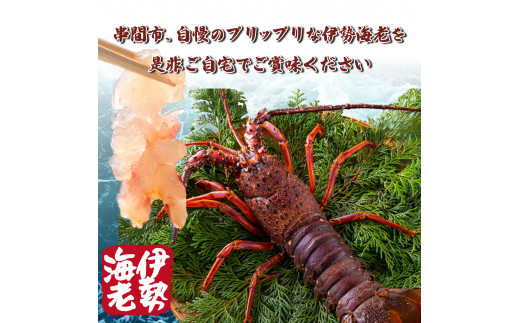 【先行予約】 ＜生冷凍・数量限定＞宮崎県串間産 天然伊勢エビ（約800g）_K027-003