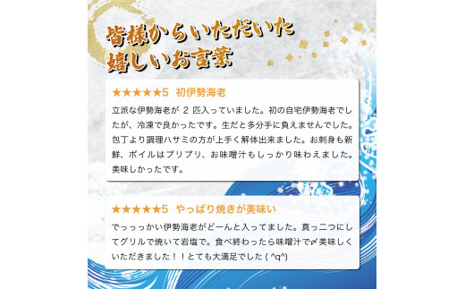 【先行予約】 ＜生冷凍・数量限定＞宮崎県串間産 天然伊勢エビ（約800g）_K027-003