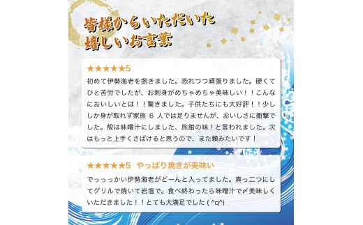 HRISI-80 【先行予約】＜数量限定＞宮崎県串間産伊勢エビ（約800g）【合同会社Houryoumaru】