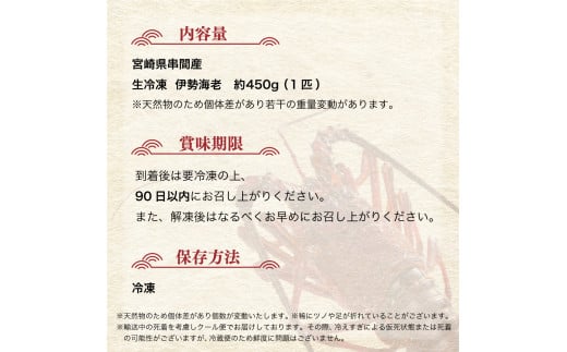 HRISI-45 【先行予約】 ＜数量限定＞宮崎県串間産伊勢エビ（約450g）【合同会社Houryoumaru】