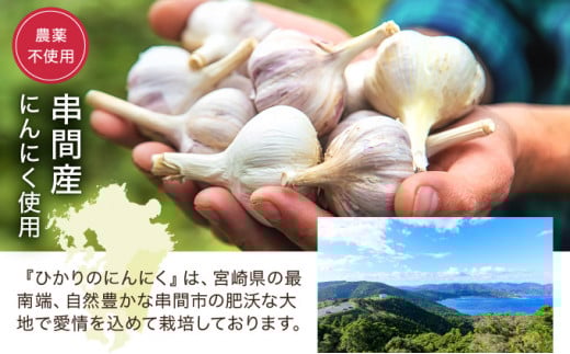 HKNID ひかりのにんにくチップ360gセット（15g×12袋・60g×3袋）【一般社団法人ひかり】