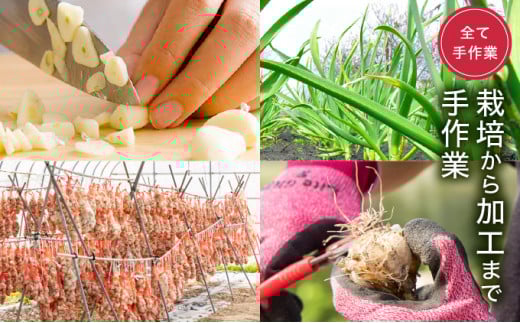 HKNID ひかりのにんにくチップ360gセット（15g×12袋・60g×3袋）【一般社団法人ひかり】