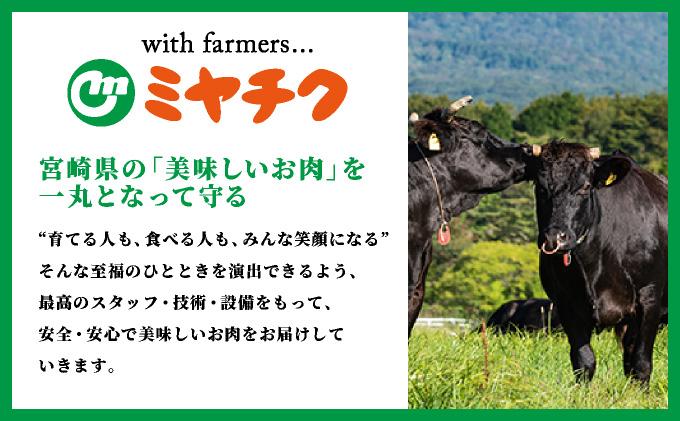 宮崎牛 ウデスライス 計800g（400g×2）_K030-005