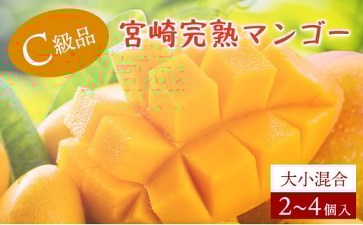 【やました農園】＜先行予約＞【生産者応援】糖度13度以上！平均15度以上！ご家庭用 宮崎完熟マンゴー1.5～1.7 kg（2Lサイズ2玉入の約2倍！）【訳ありＣ級品ですが糖度も十分です！】 KU472