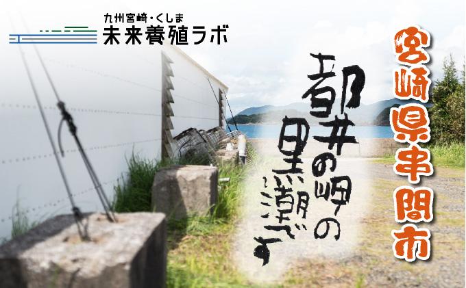 都井の岬の黒潮を薪で直火で手塩にかけて出来た手造り 夢の塩 450g（90g×5袋） 調味料 国産 塩 食塩 便利 普段使い 料理 調理 ギフト プレゼント おすすめ 贈り物 贈答 お取り寄せ 特産品 小分け_K023-005