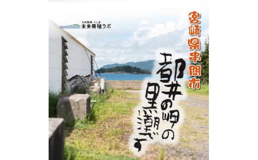 都井の岬の黒潮を薪で直火で手塩にかけて出来た手造り 夢の塩 900g（180g×5袋） 調味料 国産 塩 食塩 便利 普段使い 料理 調理 ギフト プレゼント おすすめ 贈り物 贈答 お取り寄せ 特産品 小分け_K023-004