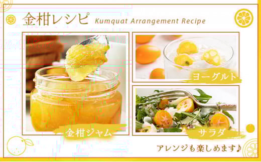 シ懷郁。御コ育エシ槫キ蜃榊ョ檎溘″繧薙°繧 800g_K034-003