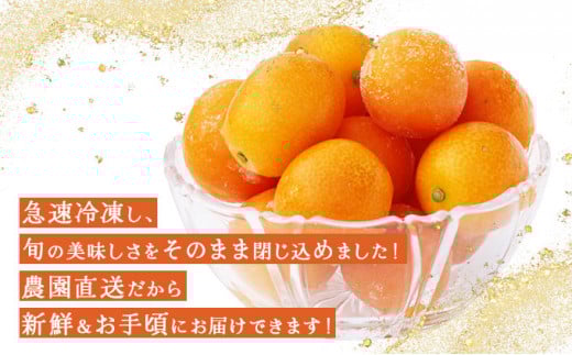 シ懷郁。御コ育エシ槫キ蜃榊ョ檎溘″繧薙°繧 800g_K034-003