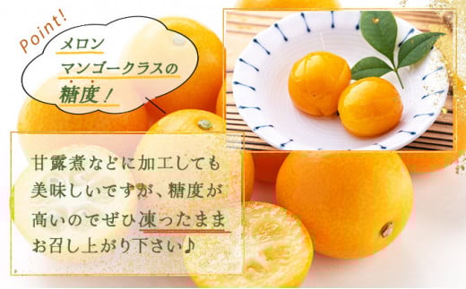 シ懷郁。御コ育エシ槫キ蜃榊ョ檎溘″繧薙°繧 800g_K034-003