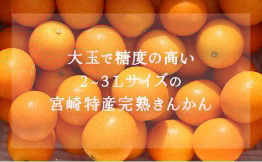 シ懷郁。御コ育エシ槫キ蜃榊ョ檎溘″繧薙°繧 800g_K034-003
