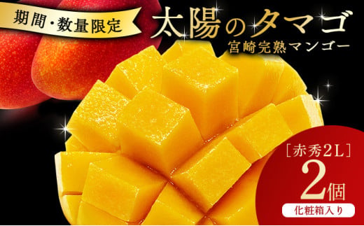 宮崎県串間市産 完熟マンゴー 太陽のタマゴ(2L×2個) 果物 フルーツ デザート スイーツ マンゴー 太陽のたまご ギフト 贈り物 贈答 プレゼント おすすめ 特産品 お取り寄せ 化粧箱入り 串間市 _K008-028