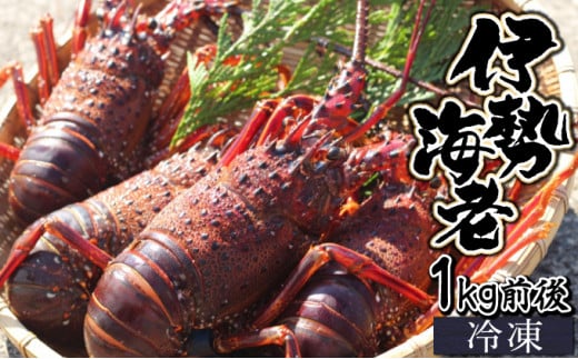 KU346  ＜生冷凍・数量限定＞宮崎県串間産 天然伊勢エビ(計約1kg前後・2～4匹) 【合同会社Houryoumaru】