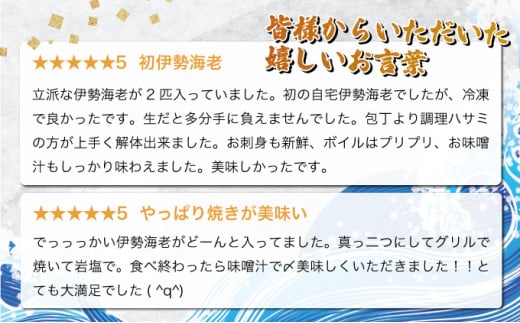 KU346  ＜生冷凍・数量限定＞宮崎県串間産 天然伊勢エビ(計約1kg前後・2～4匹) 【合同会社Houryoumaru】