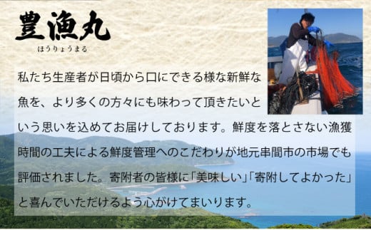 【数量限定】＜生冷凍＞宮崎県串間産 天然伊勢エビ(計約500g・1〜3匹) エビ 海老 伊勢エビ 伊勢 海鮮 新鮮 魚介 刺身 お刺身 贈答 ギフト 贈り物 プレゼント グルメ 特産品 お取り寄せ 宮崎 国産 宮崎県 串間市 _K027-012