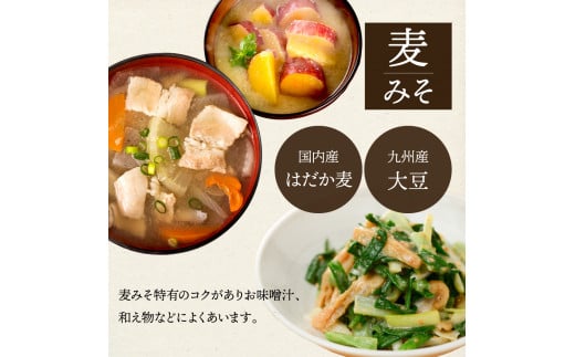 KU328 松尾の生みそ 樽入りセット 4kg【松尾醸造場】