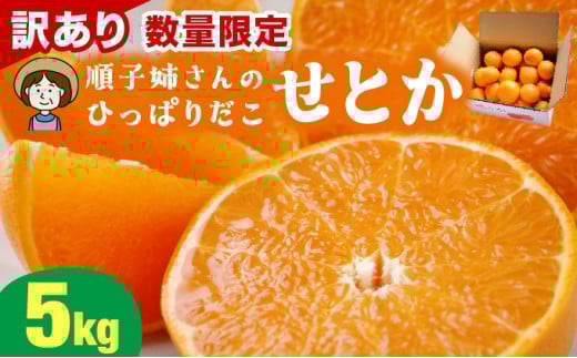 KU335 【数量限定・訳あり】 順子姉さんのひっぱりだこ愛情せとか 5kg