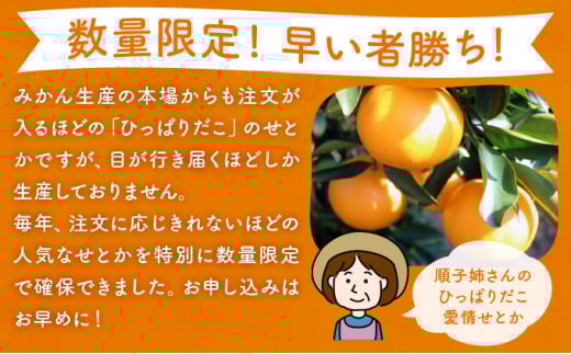 KU335 【数量限定・訳あり】 順子姉さんのひっぱりだこ愛情せとか 5kg