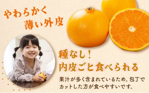 KU335 【数量限定・訳あり】 順子姉さんのひっぱりだこ愛情せとか 5kg