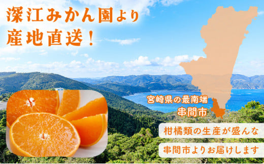 KU335 【数量限定・訳あり】 順子姉さんのひっぱりだこ愛情せとか 5kg