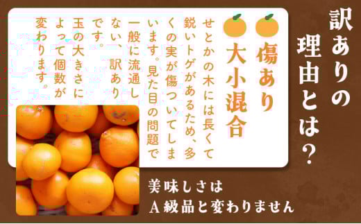 KU335 【数量限定・訳あり】 順子姉さんのひっぱりだこ愛情せとか 5kg