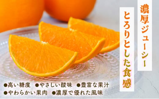 KU335 【数量限定・訳あり】 順子姉さんのひっぱりだこ愛情せとか 5kg