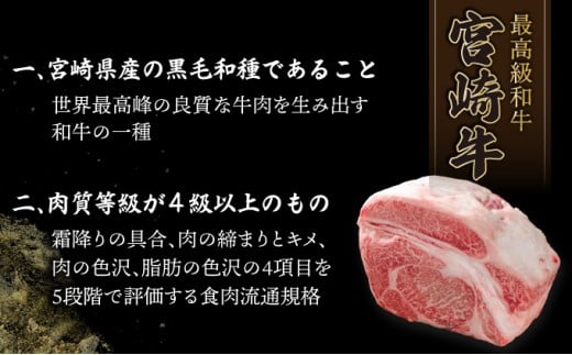 KU309-2 宮崎牛ロースステーキセット 計500g （250g×2）