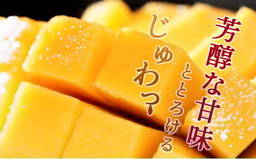 縲舌d縺セ縺励◆霎イ蝨偵托シ懷郁。御コ育エシ槭後#螳カ蠎ュ逕ィ縲榊ョョ蟠主ョ檎溘槭Φ繧エ繝シシ育エ1.8ス2kg繝サ螟ァ蟆乗キキ蜷茨シ | 邉門コヲ蟷ウ蝮15蠎ヲ莉・荳奇シ鬮倩ゥ穂セ。縺ョ螳ョ蟠主ョ檎溘槭Φ繧エ繝シ KU325