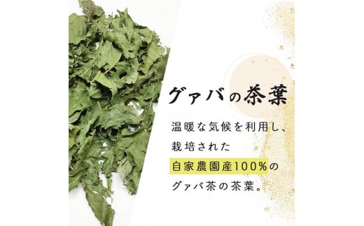 KU324 宮崎県串間市産 グァバ茶 (230ｇ×5袋)  【宮崎果汁】