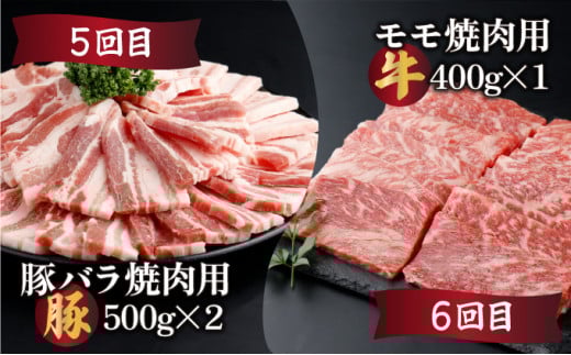 KU305 【定期便・全6回】宮崎牛と宮崎産豚肉 6ヶ月定期便！(計3.7kg)