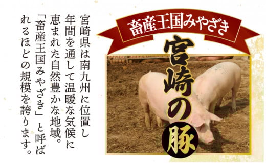 KU305 【定期便・全6回】宮崎牛と宮崎産豚肉 6ヶ月定期便！(計3.7kg)