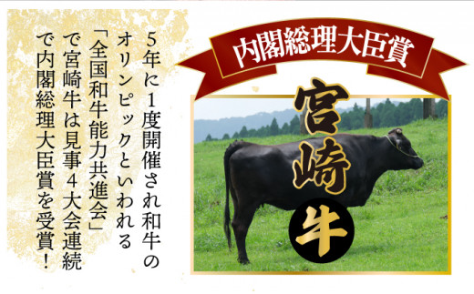 KU305 【定期便・全6回】宮崎牛と宮崎産豚肉 6ヶ月定期便！(計3.7kg)