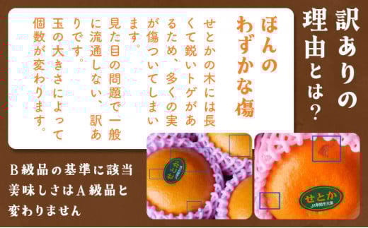 KU303 ãé«è©äŸ¡èŸ²åã®é宿ž©å®€ããšããïŒå
è¡äºçŽïŒ 溢ãåºãææ±ïŒé åå§ããã®ã²ã£ã±ãã ãææ
枩宀ããšã 2.5kg