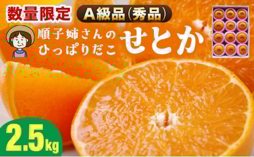 KU302 ≪数量限定・A級品≫  順子姉さんのひっぱりだこ愛情せとか 2.5kg
