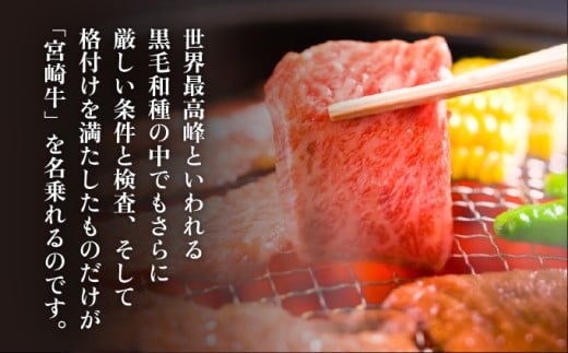 KU210 ïŒå·åïŒA4ççŽä»¥äžïŒå®®åŽçè©ããŒã¹çŒèçš(çŽ300g)ãšãããæšå³ïŒãã¹ãŒããŒã»ããã¡ã