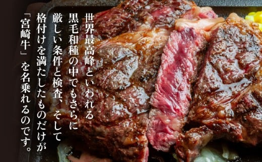 KU209 ïŒå·åïŒA4ççŽä»¥äžïŒå®®åŽçããŒã¹ã¹ããŒã(çŽ200g)ãšãããæšã¿ïŒãã¹ãŒããŒã»ããã¡ã